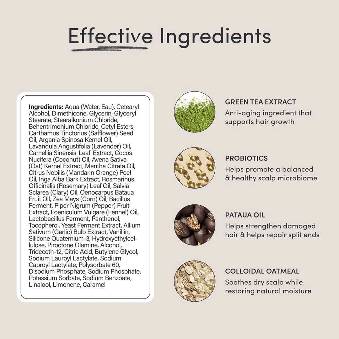 Zero Flakes Given® Nourishing Hair & Scalp Conditioner - 14 fl oz