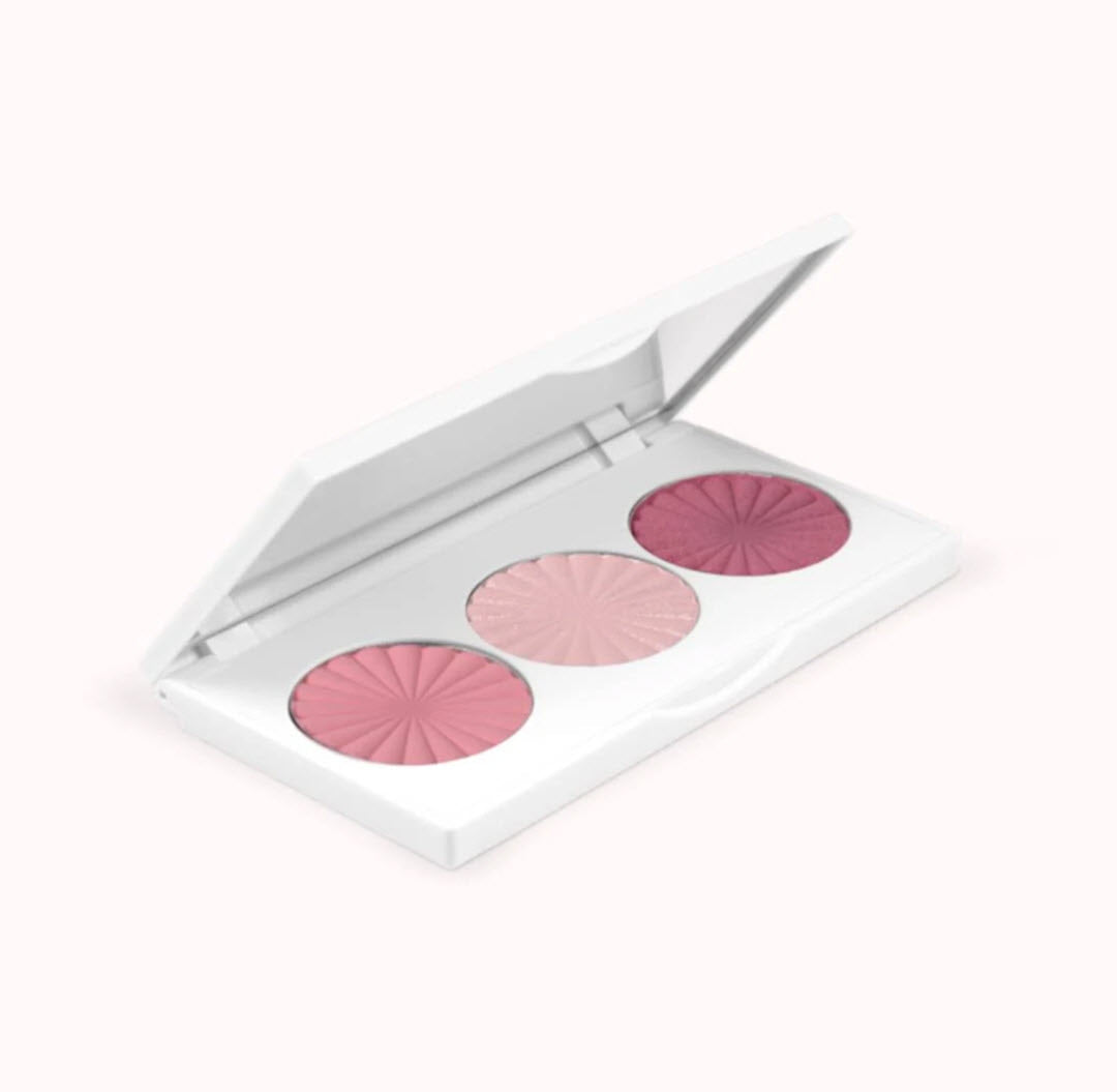 OFRA Cosmetics Midi Palette Blossom Blush open compact showing Pink Satin, Pillow Talk, and Paradise Pink shades