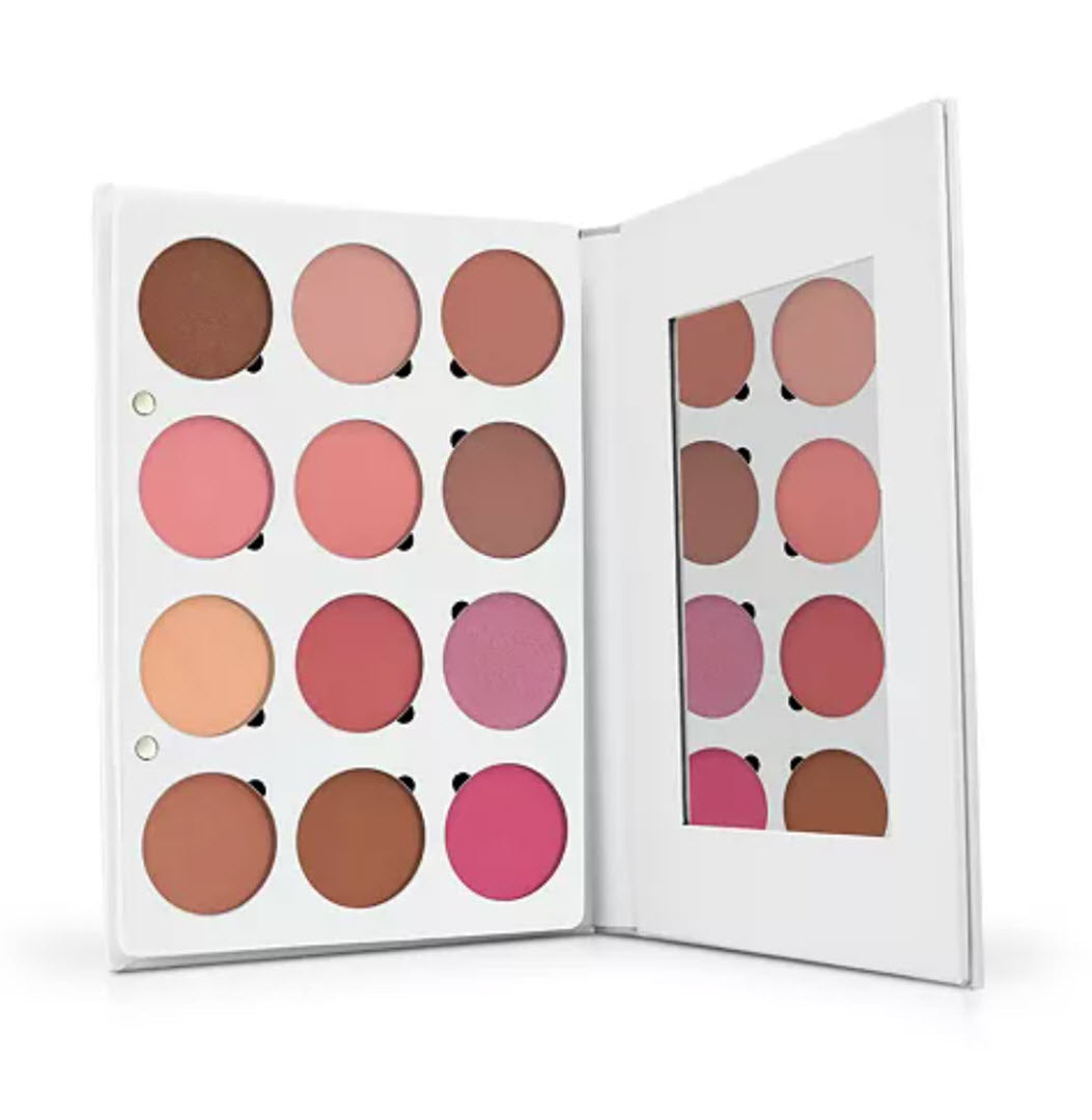 Open OFRA Cosmetics Pro Palette Blush with built-in mirror showing all 12 blush shades