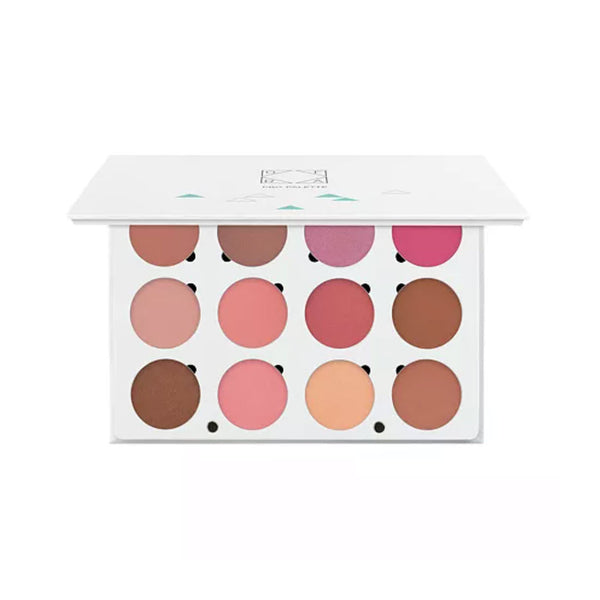 OFRA Cosmetics Pro Palette Blush 12-pan compact with Charm, Winter Rose Glow, Crazy Pink, Pink Lady, Rose, Candy Apple, B-29 Coral Crush, Raisin, Format, Pink Satin, Apricot, and Rendezvous shades